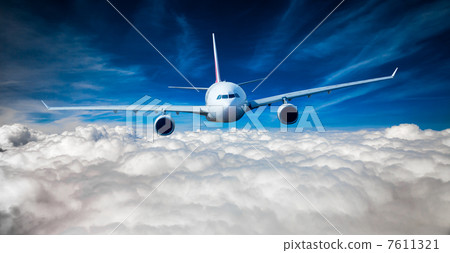 Passenger Airliner in the sky 7611321