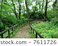 Ikuta Green spot after the rain 7611726