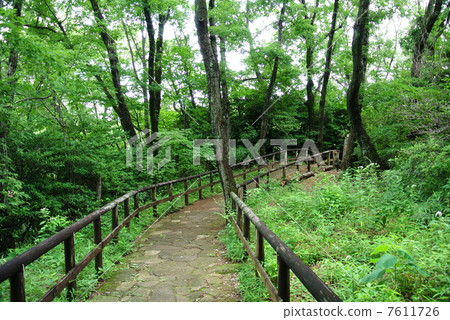 Ikuta Green spot after the rain Ikuta Green spot after the rain 7611726