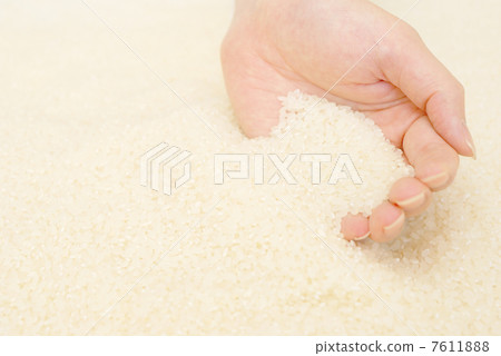 Rice Rice 7611888