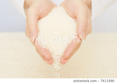 Rice Rice 7611890