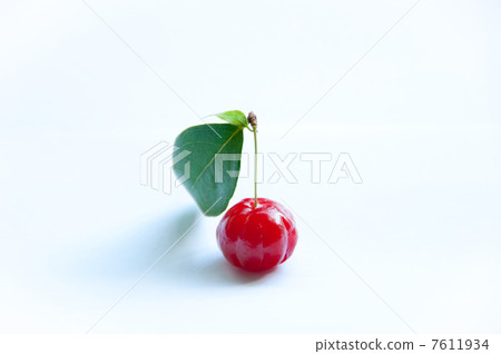 Brazilian cherry and green leaves 7611934