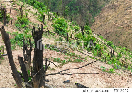 老撾的削減和削減斜線 7612032