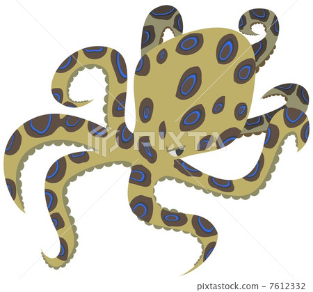 豹蜻蜓(生物) 豹蜻蜓(生物) 7612332