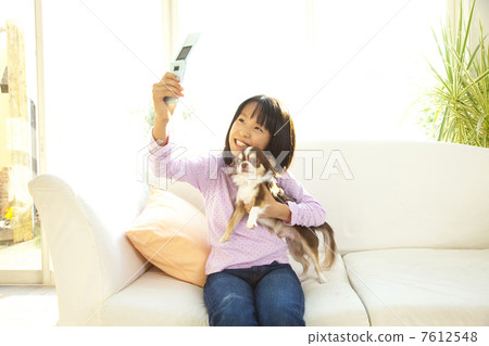 Chihuahua and a girl taking a picture 7612548