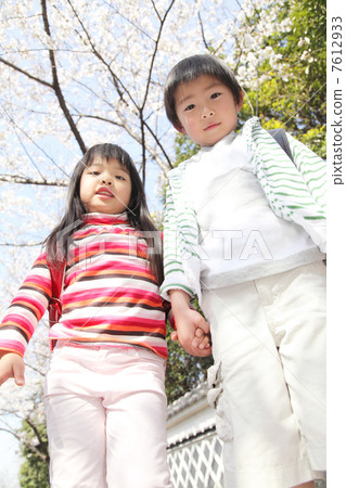 Elementary school girls standing under the cherry blossoms Elementary school girls standing under the cherry blossoms 7612933