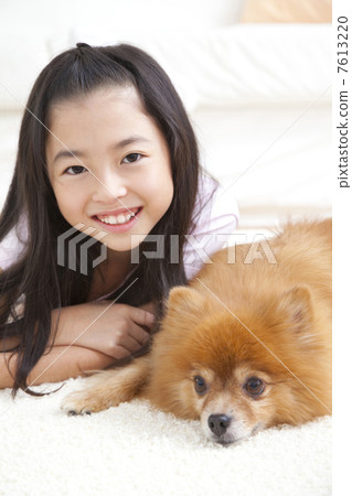 微笑與說謊的女孩在Pomeranian 7613220