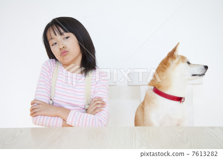 Shiba Inu and a girl quarreling 7613282