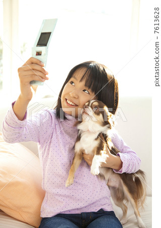 奇瓦瓦州和一個女孩在拍照 7613628