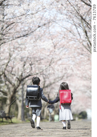 沿著櫻花走的小學女孩 沿著櫻花走的小學女孩 7613789