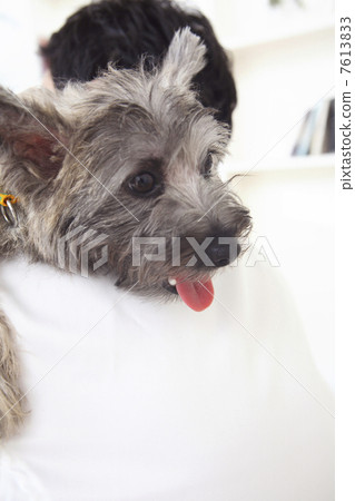 男性背與狗 7613833