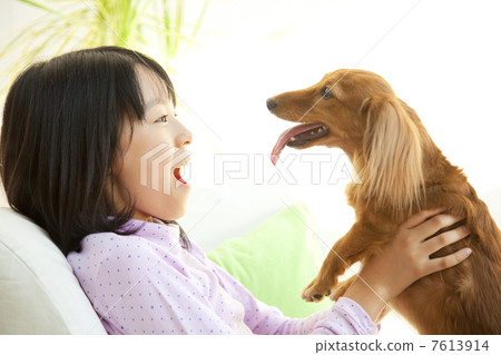 拿著一隻微型達克斯獵犬的微笑女孩 7613914
