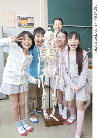 小學生玩骨架模型男女老師 7614286