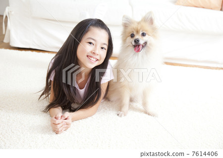 微笑與說謊的女孩在Pomeranian 微笑與說謊的女孩在Pomeranian 7614406