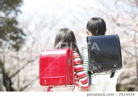 Rear appearance of elementary school girls and men standing under the cherry blossoms Rear appearance of elementary school girls and men standing under the cherry blossoms 7614434