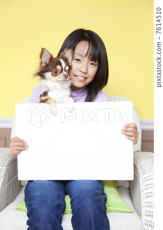 吉娃娃和留言板的女孩 吉娃娃和留言板的女孩 7614510