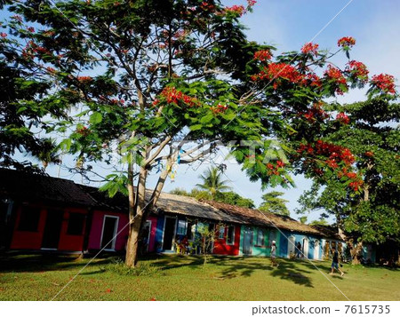 特蘭科索 7615735