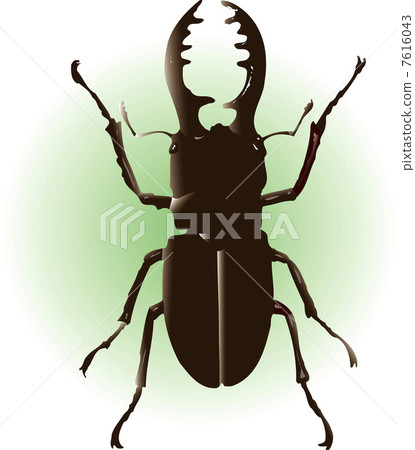 Miyamakuwagata男 7616043