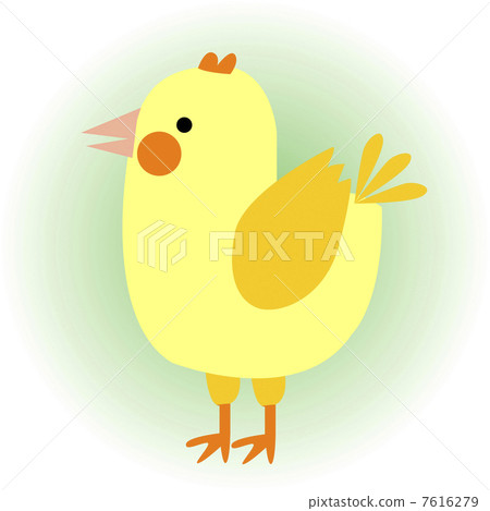 Chick Chick 7616279