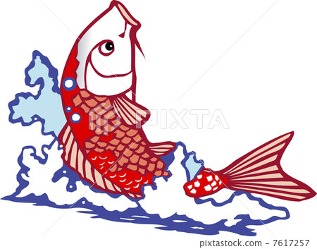 紅鯉魚 7617257