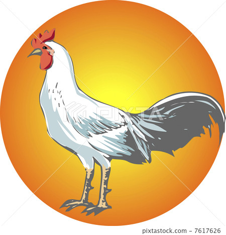 Chicken Chicken 7617626