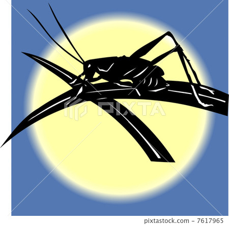 Autumn insects Autumn insects 7617965