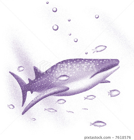 Whale shark 7618576
