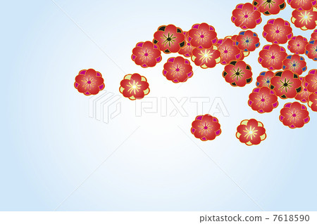 Plum blossom  7618590