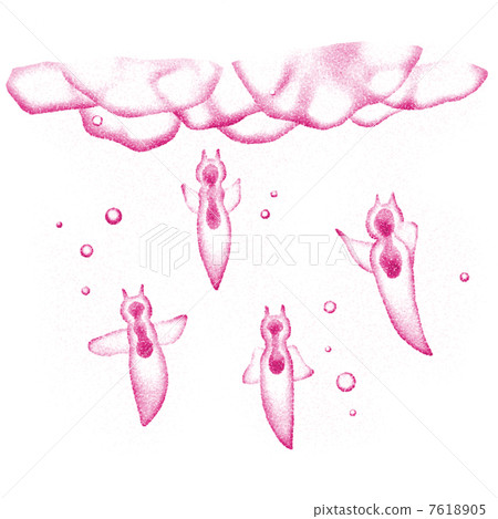 Clione under the ice 7618905