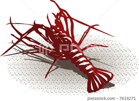 龍蝦 龍蝦 7619271