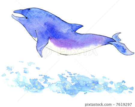 海豚 7619297