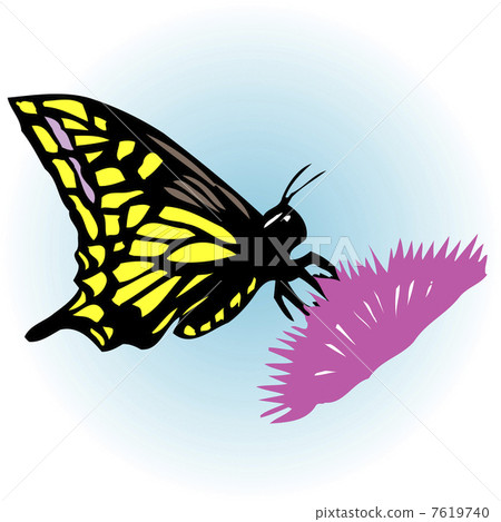 一隻鵪鶉 7619740