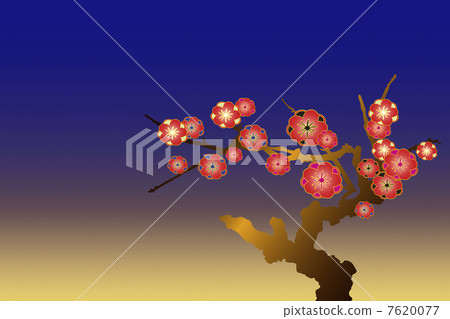 Plum blossom Plum blossom 7620077
