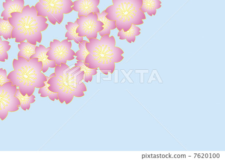 Sakura flower Sakura flower 7620100