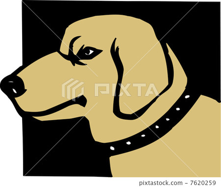 Dog 7620259