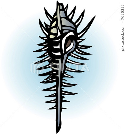 維那斯骨螺 7620335