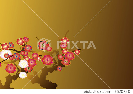 梅花 7620758