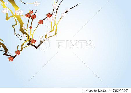梅花 梅花 7620907