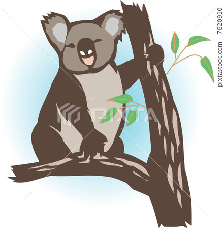 Koala 7620910