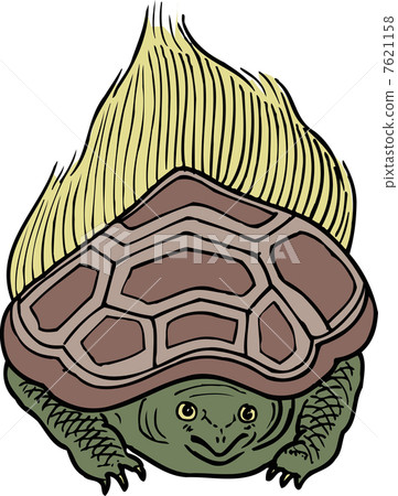 Turtle 7621158