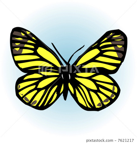 大腸桿菌 大腸桿菌 7621217