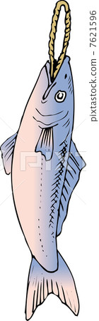 New spring salmon 7621596