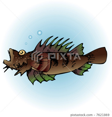石頭魚 7621869