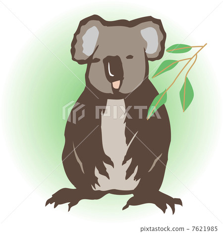 Koala 7621985
