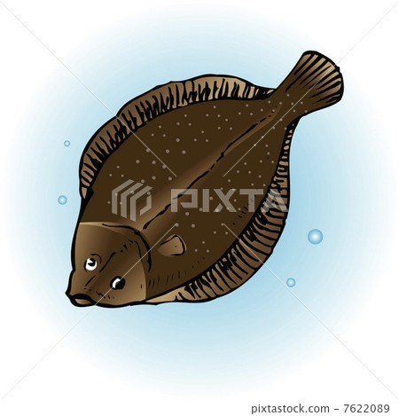 比目魚 比目魚 7622089