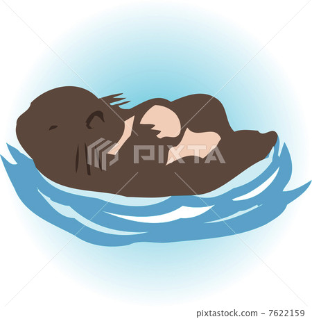 Sea otter Sea otter 7622159