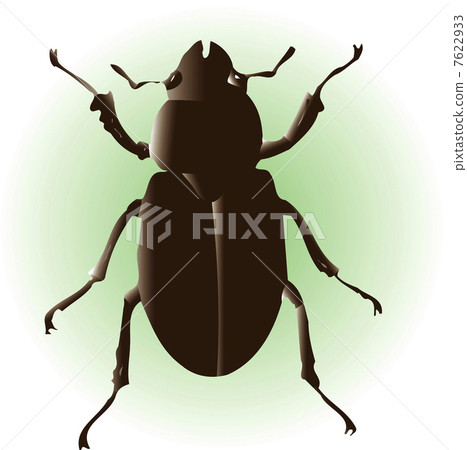 Miyamagiwagata女性 7622933