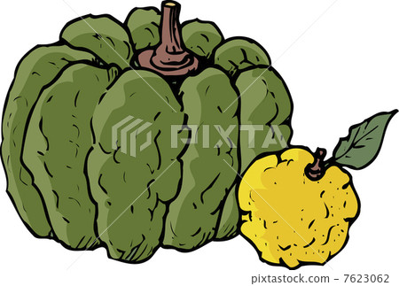 winter solstice 7623062