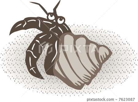 Hermit crab 7623087