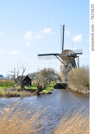 風車小組小孩堤防荷蘭 7623620